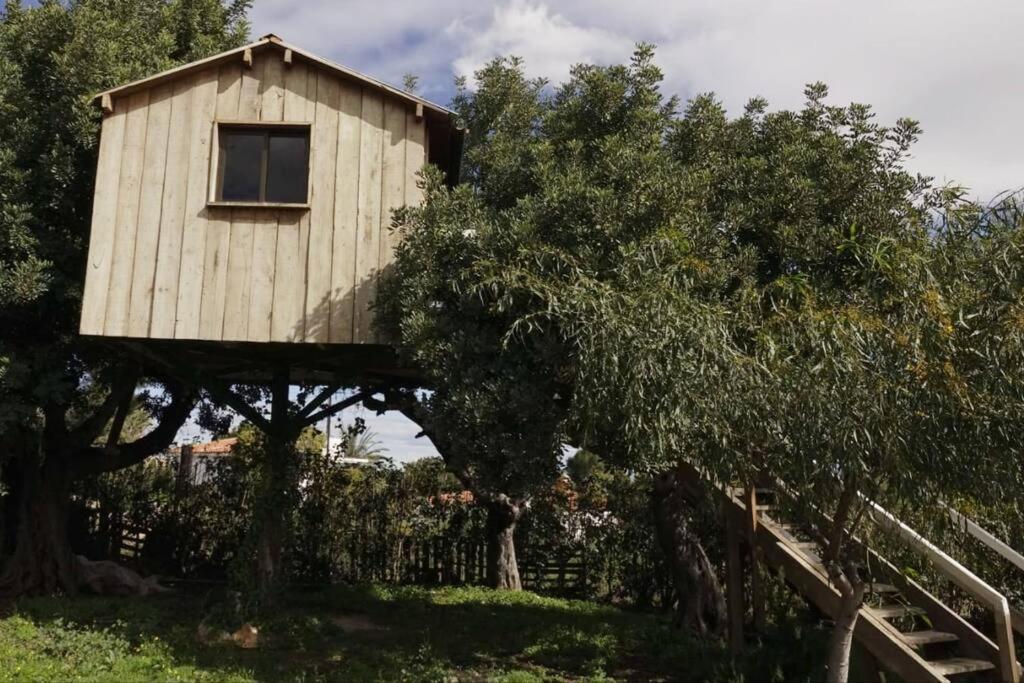 Casa Campo Con Piscina Y Barbacoa Para 6 Personas En Plena Naturaleza Picassent Exterior foto